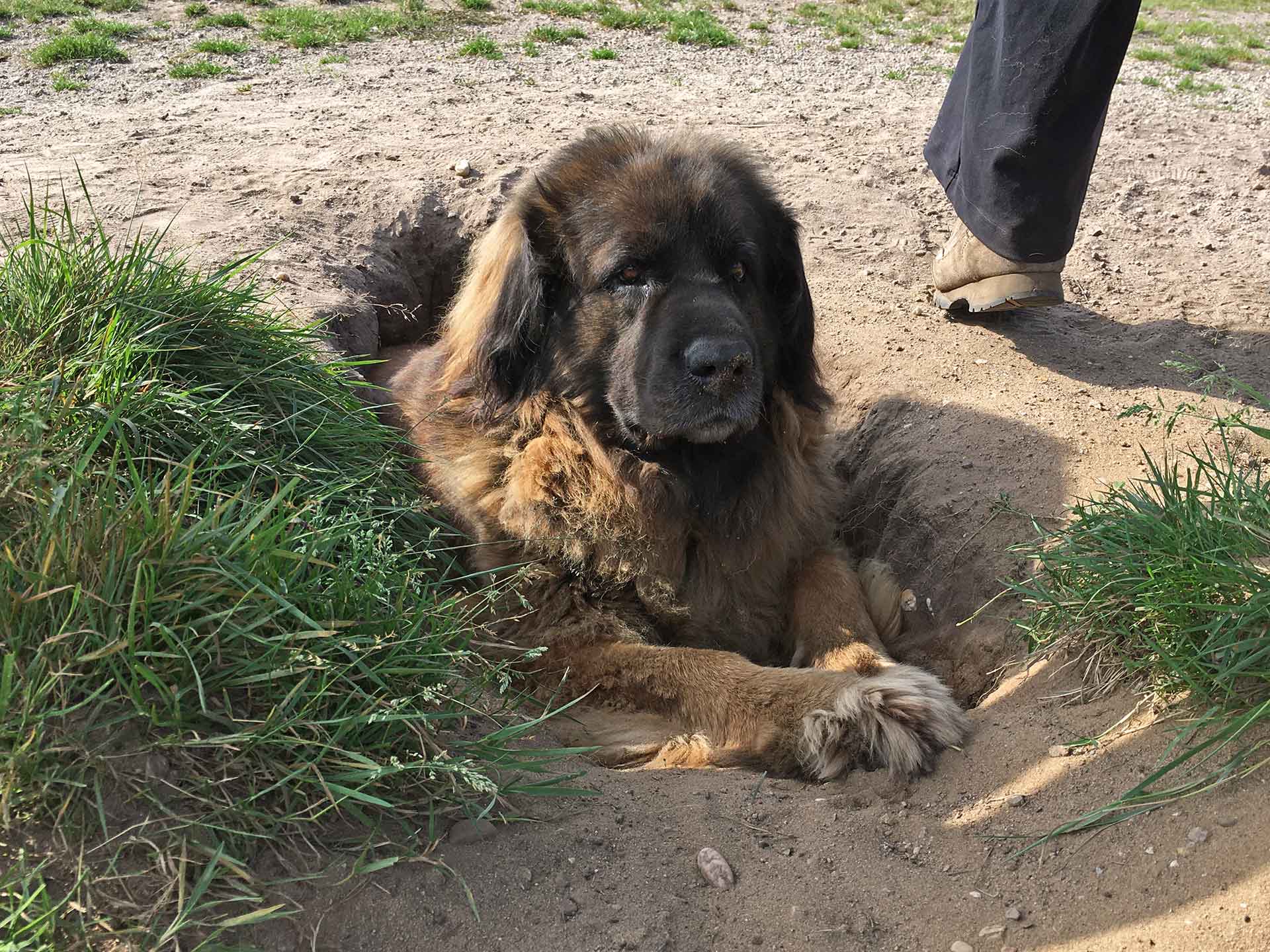 Toa, 10 september 2021 Toa, 10 september 2021